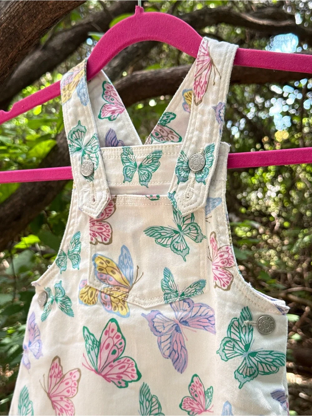 Baby Gap Butterfly Bliss Overall Dress